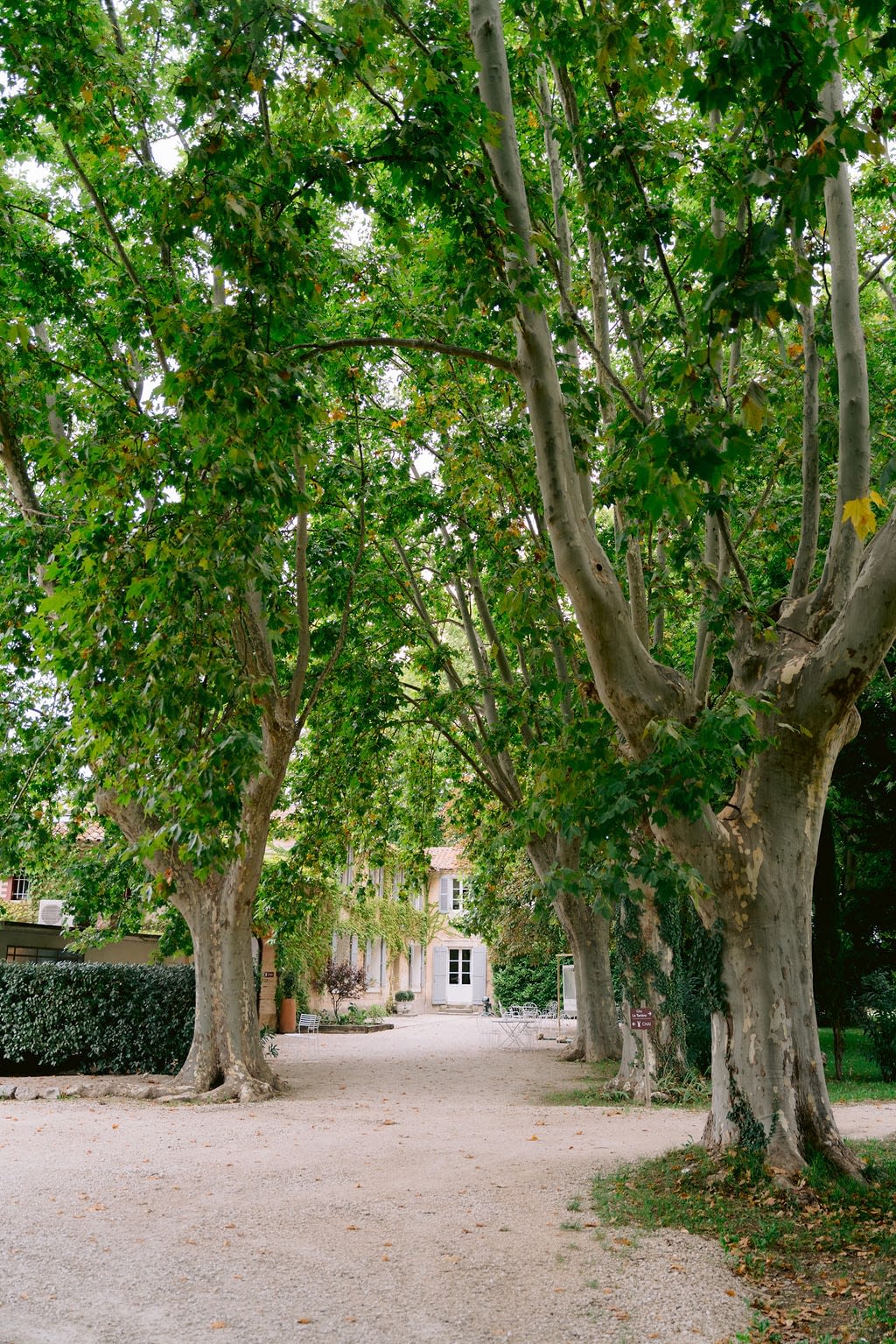 clementinecphotographe-domainedugrandsinge-2
