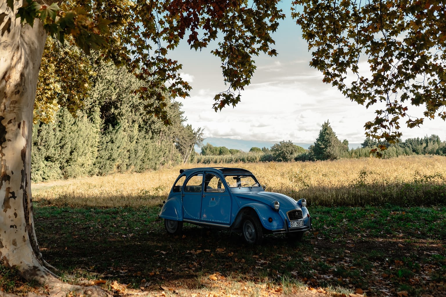 MARIAGE-PROVENCE-photographe-Florine-Jeannot-JOHANIE-ALEXANDRE-223