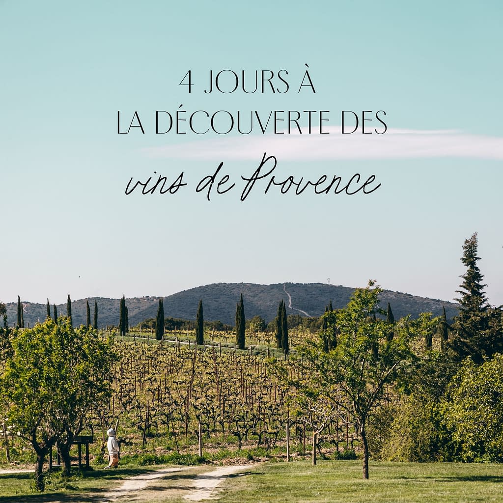 Vins rosé de Provence