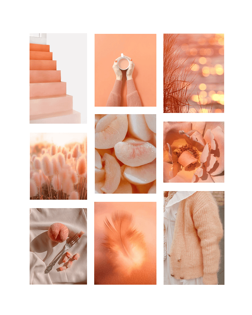 Moodboard ou planche d’ambiance avec neuf images où l’on retrouve la couleur Peach Fuzz.