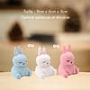 Lapin de sable