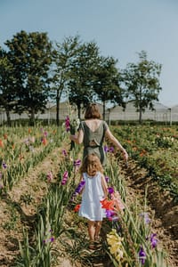Cueillette à la ferme de Gally. sortie enfants Saint-Germain-en-Laye parc